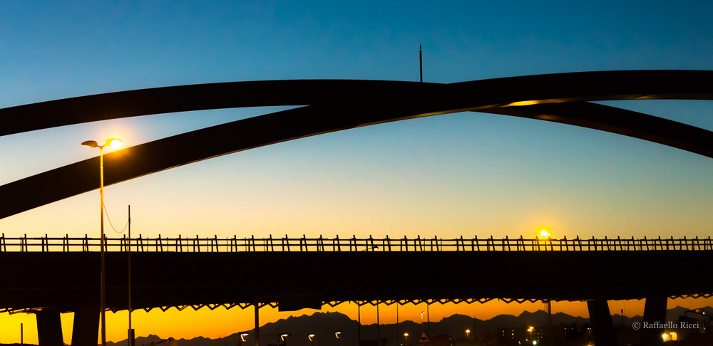 Expo Milano 2015   lavori in corso (1)